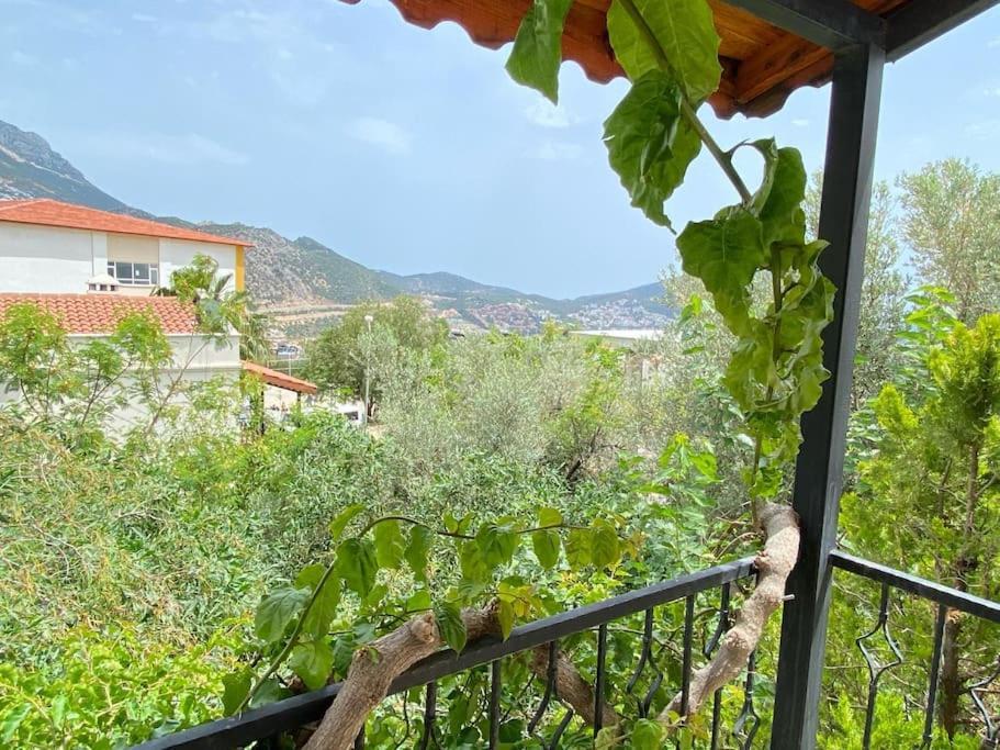 Villa Leton Kleo - Kalkan Center Eksteriør bilde
